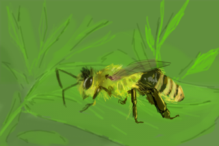 пчелка как по заказу было,бз бззз