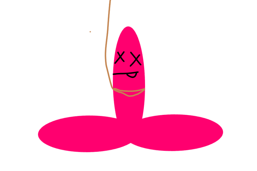 пенис повесился