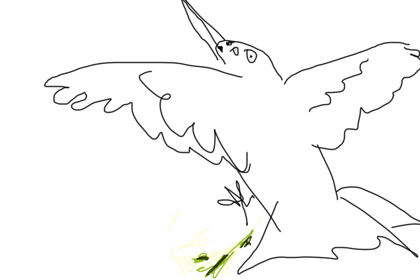 птича.срёт<br />