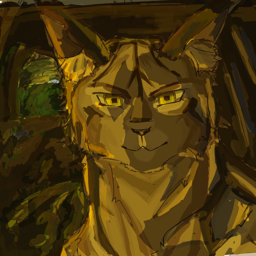 коты воители?