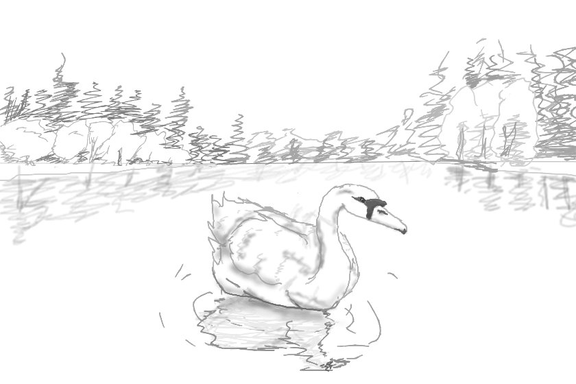 лебедь которого я нарисовала на уроке