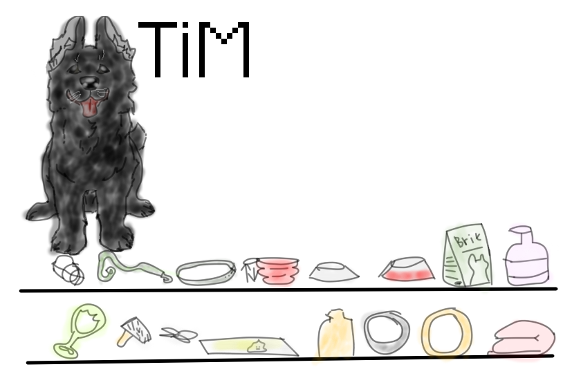 Короче Тимон это моя немецкая овчарка. ему 8 месяцев. Его вещи : Намордник, поводок, ошейник, Раскладная миска, две обычных миски, корм 15 кг Брит, шампунька, игруха, вычесывалка, кусачки для когтей, пиленки, бутылка с собой, два кольца, один из плотной резины а другой из чего то...хз чо. И пледик на котором он спит.