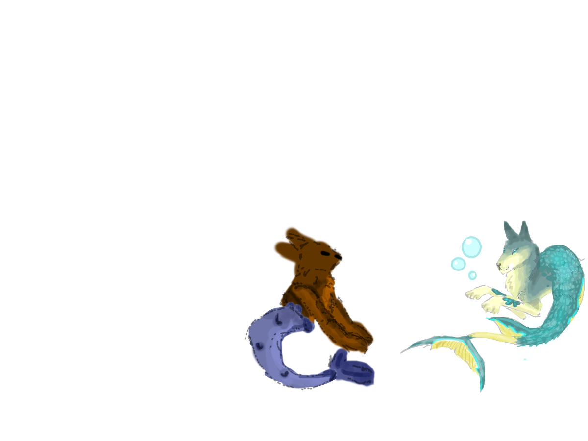 морские собаки