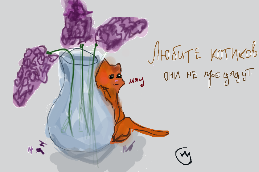 котики (котик)