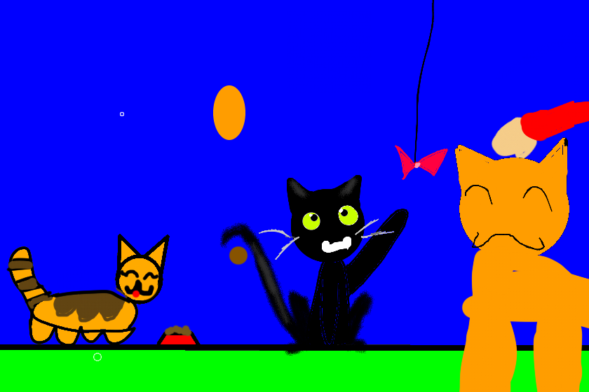 Рай котов :3